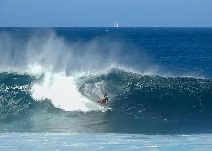 Ocean Tiny House En Casa Azul * Punta Mujeres