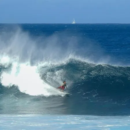 Ocean Tiny House En Casa Azul * Punta Mujeres